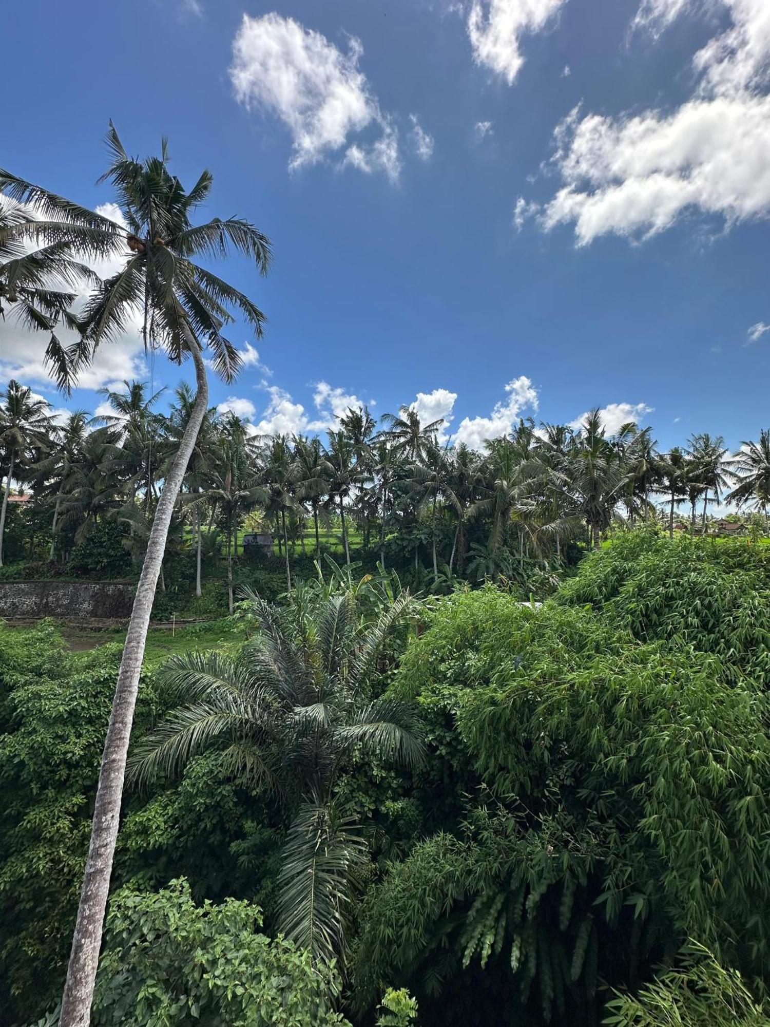 Tagel Karsa House Ubud Exterior foto